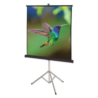 Quartet Portable Tripod Projection Screen, 60 x 60, White Matte Finish (560S)